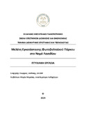 Μικρογραφία εικόνας